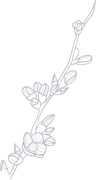 flower bg